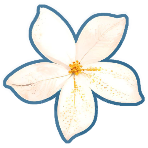 默默開花 Jasmine S