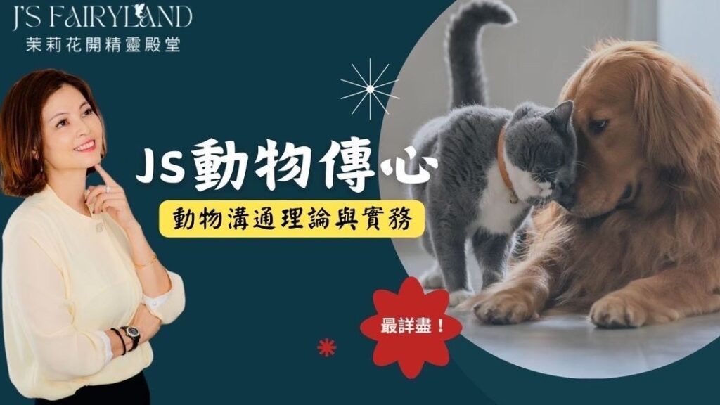 寵物溝通全面攻略班