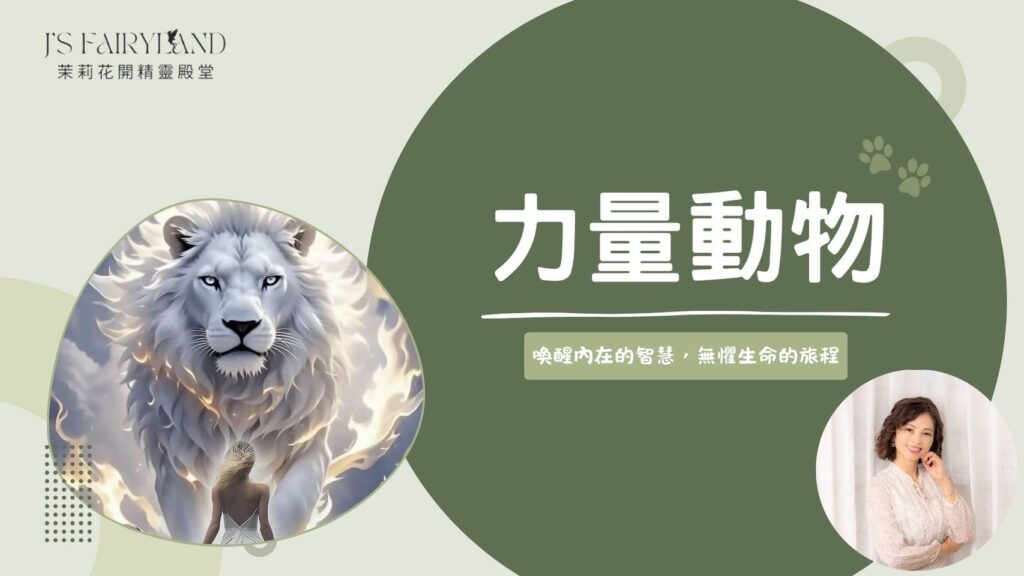 力量動物